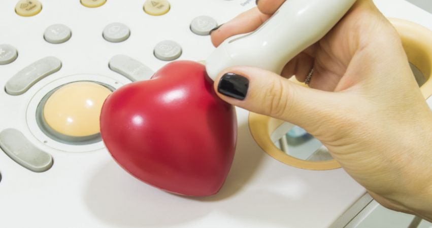 echo serca dzieci Wilanów, Ursynów